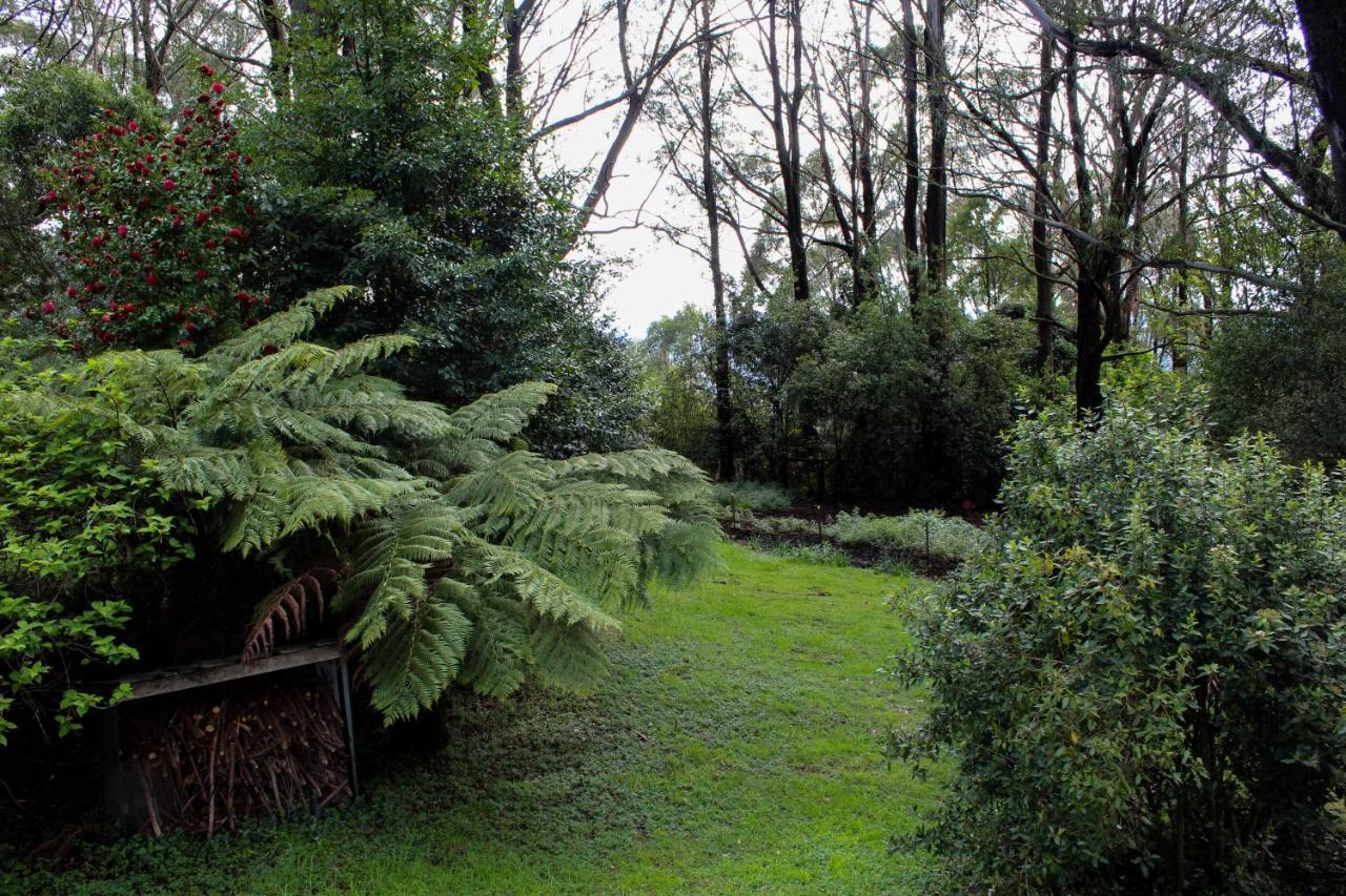 Tomah Retreat - Studio Chill With Fireplace And Clawfoot Bath Bed & Breakfast Mount Tomah Luaran gambar